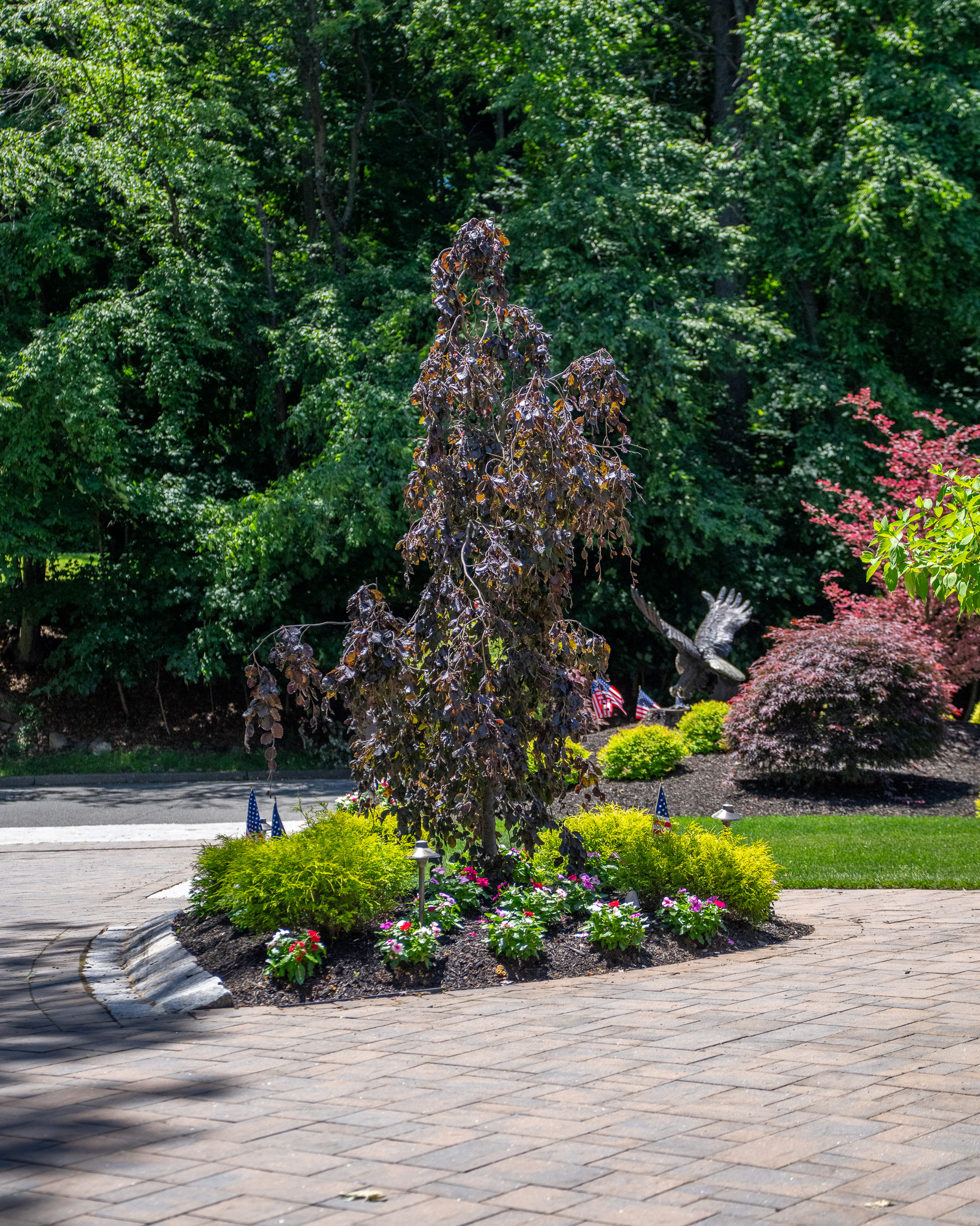 The Front Yard as an Arrival