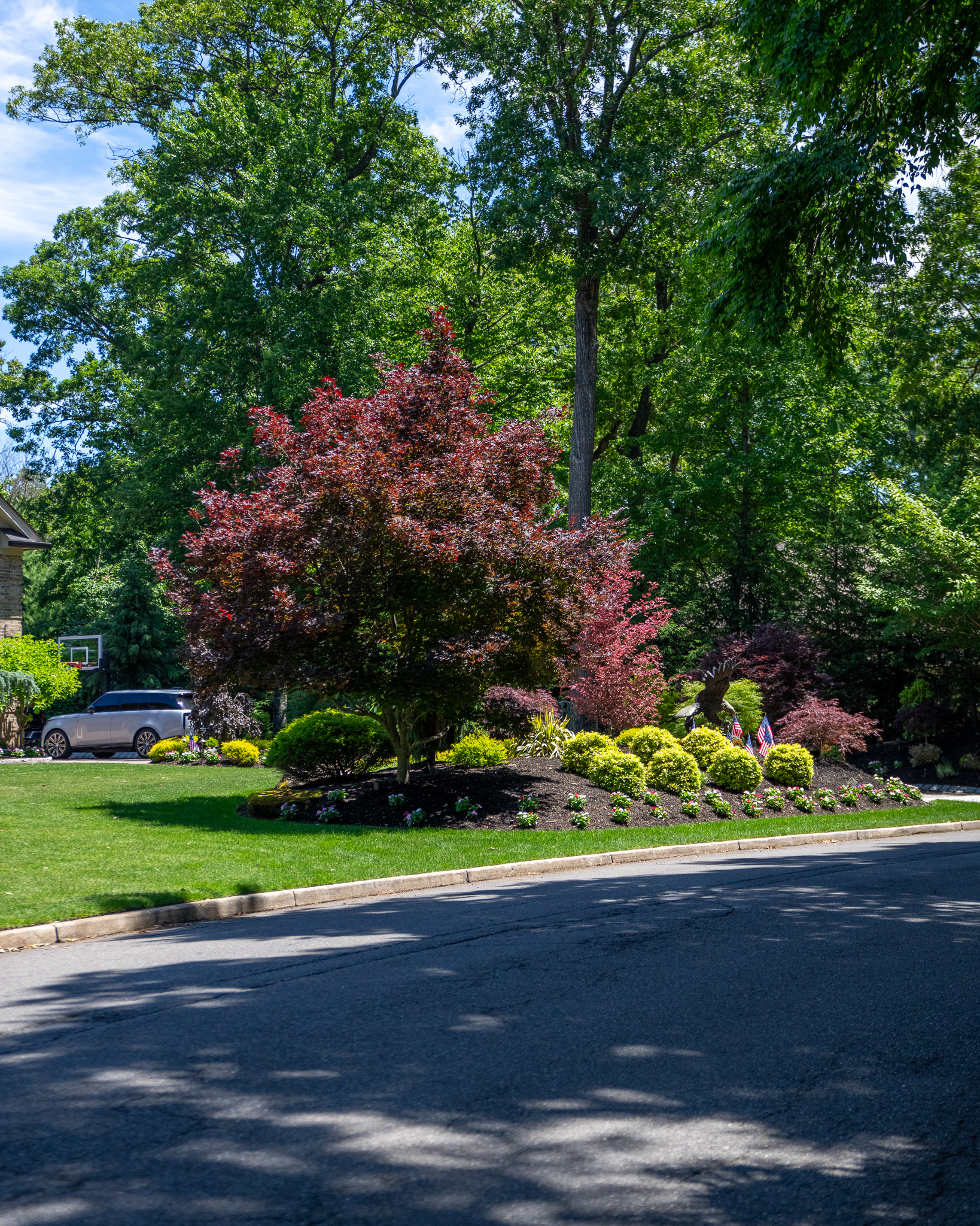 The Front Yard as an Arrival — image 6
