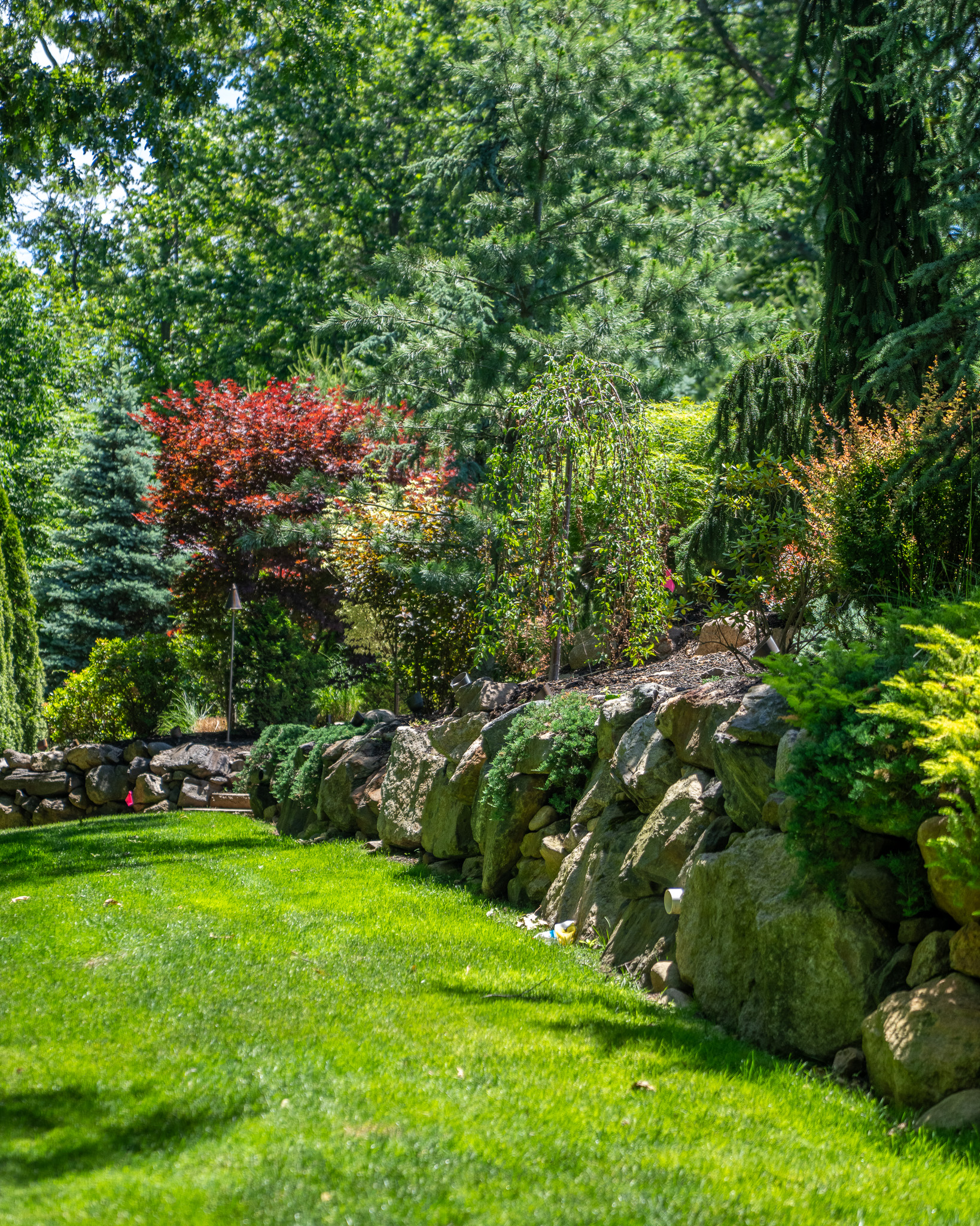 A Hillside Backyard on Three Levels — image 6