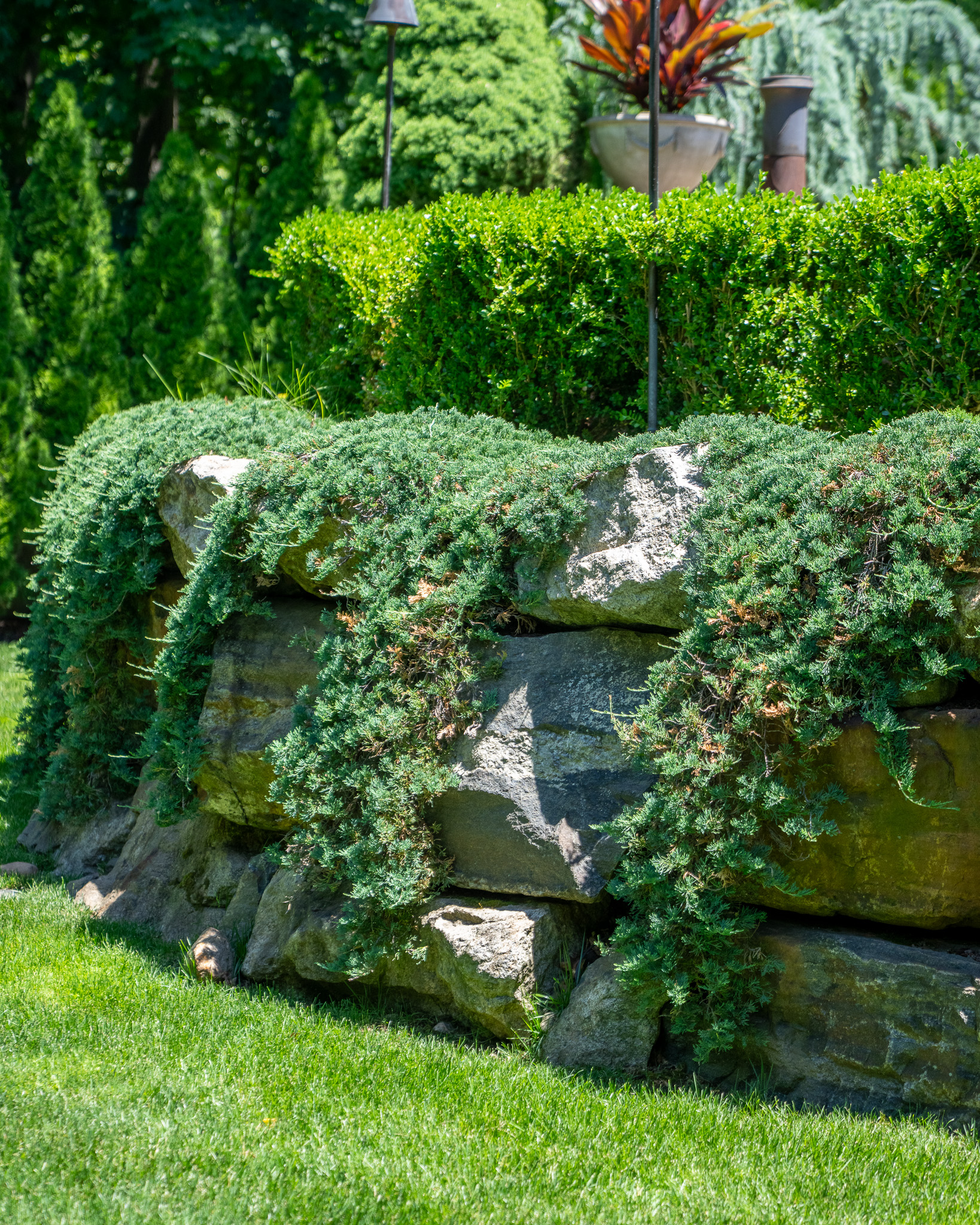 A Hillside Backyard on Three Levels — image 8