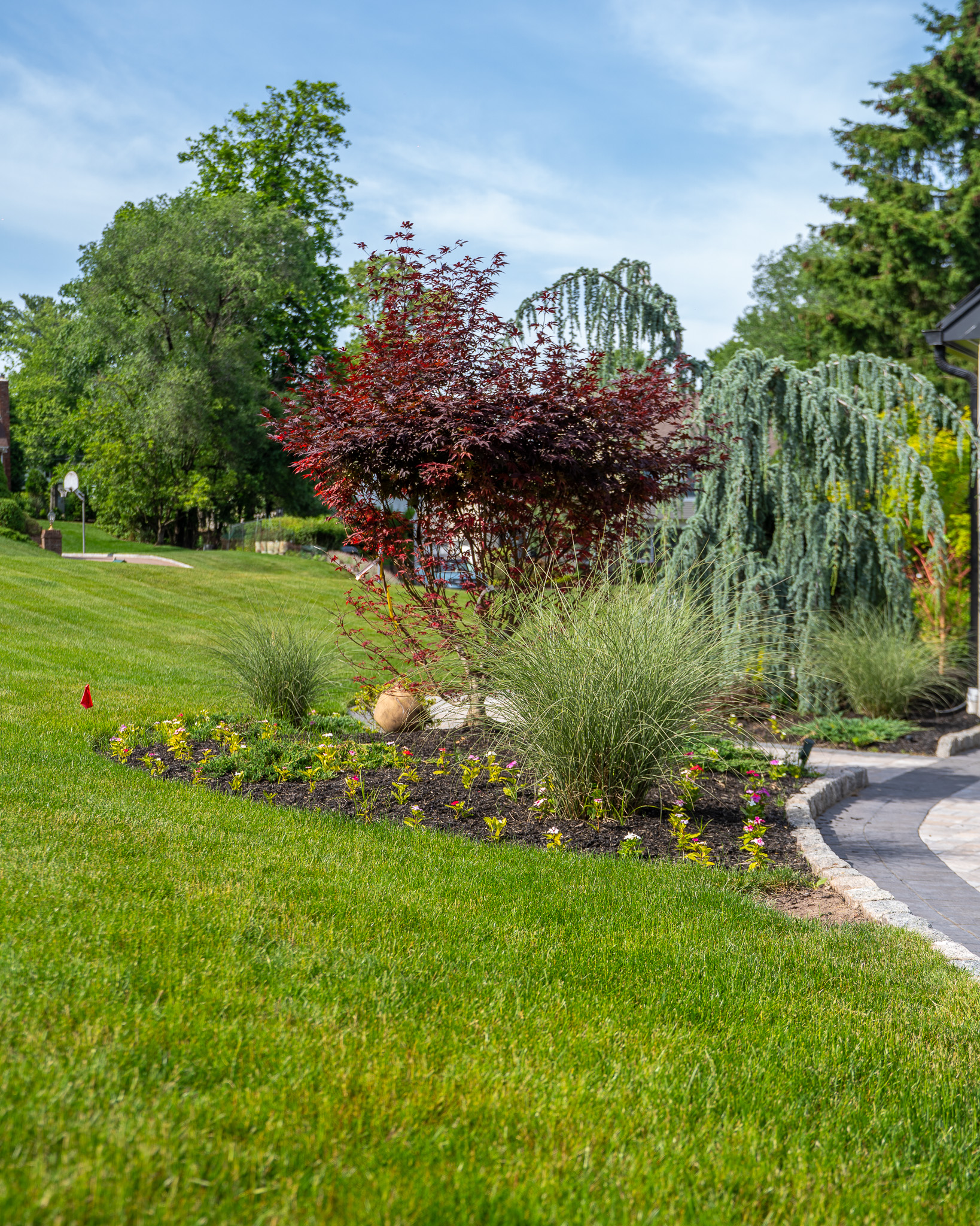 A Hillside Backyard on Three Levels — image 7